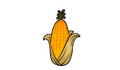 Corn Agronomy Sticker by LG Seeds