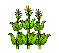 Agronomy Sticker by LG Seeds