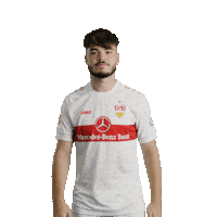 Football Soccer Sticker by VfB Stuttgart