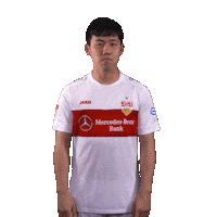 Endo Schulter Abwischen Sticker by VfB Stuttgart
