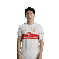 Football Facepalm Sticker by VfB Stuttgart