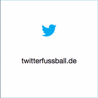 euro2016 GIF by Twitter Sport DE