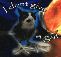 Niche I Dont Give GIF