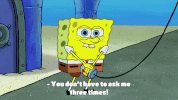 season 9 episode 13 GIF by SpongeBob SquarePants