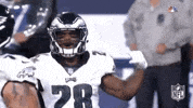2018 nfl football GIF by NFL
