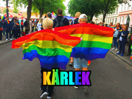 Redbergslids_IK love pride karlek hbtq GIF