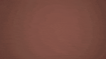 Adult Swim Wtf GIF by rolfes