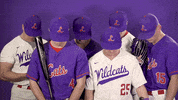 Baseball GIF by Linfield Athletics