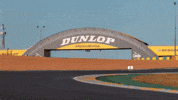 Le Mans Tire GIF