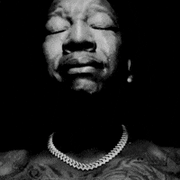 Stantwitter Please GIF