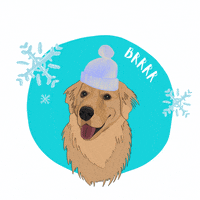 Choppergolden cold azul frio neve GIF