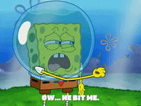 season 5 episode 10 GIF by SpongeBob SquarePants