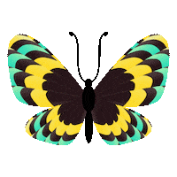 Glowup Bonitinha Sticker