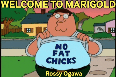 giphy.gif