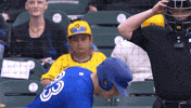 Blue Jays Mlb GIF by Toronto Blue Jays