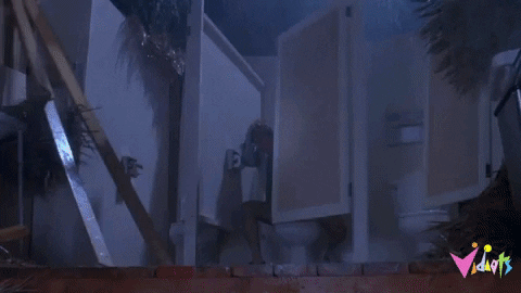 GIF by Vidiots