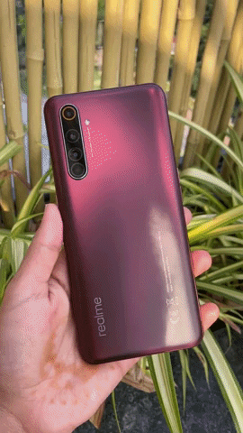 nandiniy giphyupload GIF