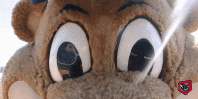 chopper watching GIF by Gwinnett Stripers