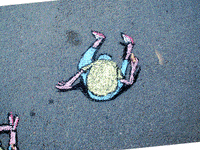Paatrice chalk craie paatrice ouature GIF