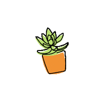 Sucstu home modern cactus pot Sticker