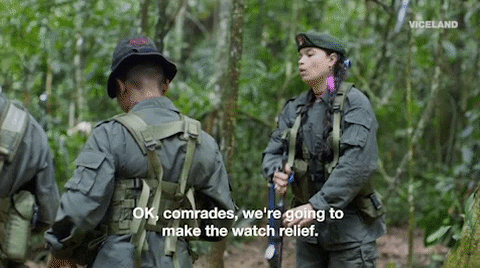 viceland GIF by WOMAN