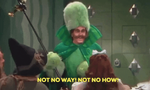 VicVik giphygifmaker giphyattribution GIF