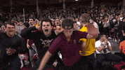 Fans Dab GIF by Boston College Eagles