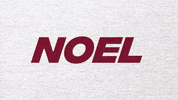 College Basketball GIF by Boston College Eagles