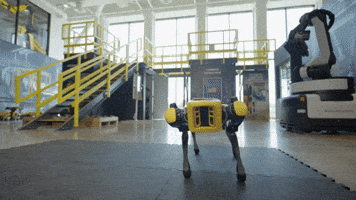 Robot Spot GIF by BostonDynamics