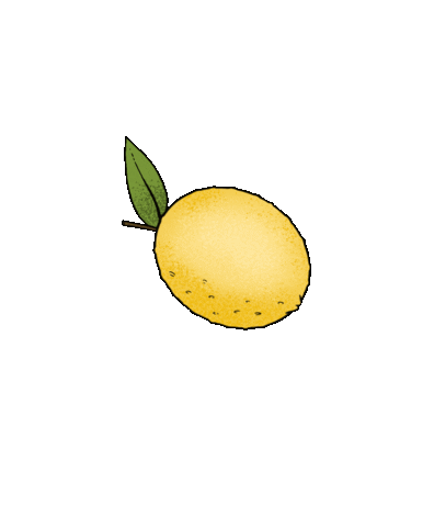AORISTS giphyupload yellow fruit lemon Sticker