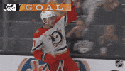 Anaheim Ducks Celebration GIF by NHL