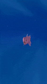 Video Madrid GIF by Tu cara me sauna