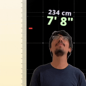 7' 8"
