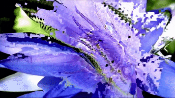 moshing digital art GIF