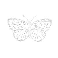 Butterfly Ratu Sticker