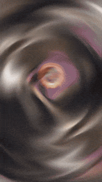 Heritage Indianwedding GIF by Cocaine Girl