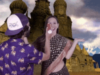 pugliferecords bollywood india pug saree GIF