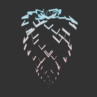 GIF by Borrachas