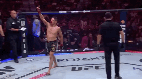 Mixed Martial Arts Sport GIF by UFC