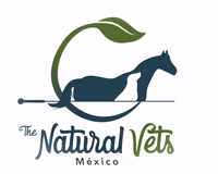 thenaturalvetsmx acupuntura tnv naturalvets thenaturalvets homeopatia fisioterapiacanina veterinaria veterinario GIF