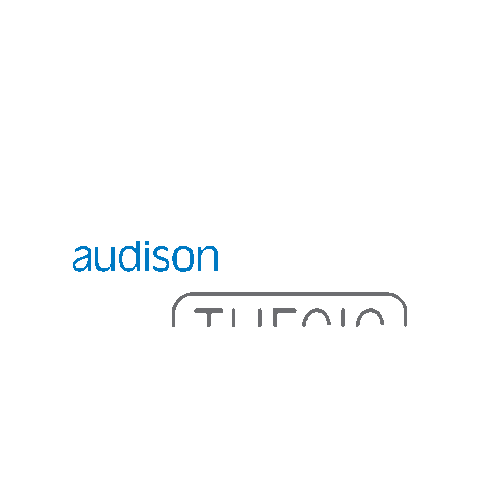 Car Audio Logo Sticker by Elettromedia SRL