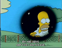 Season 1 GIF by The Simpsons