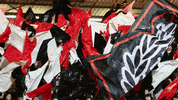 Fans Flags GIF by Dunfermline Athletic Football Club