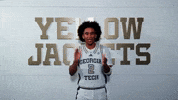 Georgia Tech Adidas GIF by Georgia Tech Yellow Jackets