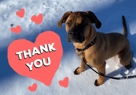 GIF by Nebraska Humane Society