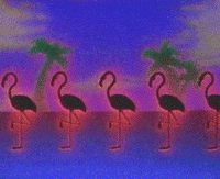 vhs sony GIF