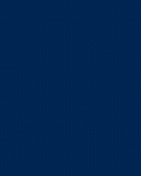 Football Soccer GIF by FC Zürich