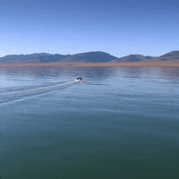travel reizen GIF by BNNVARA