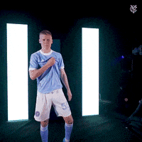 New York City Fc Reaction GIF by NYCFC