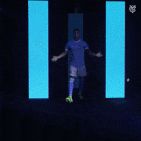 New York City Fc Reaction GIF by NYCFC